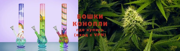 дживик Гусь-Хрустальный