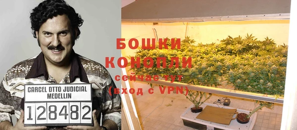 дживик Гусь-Хрустальный