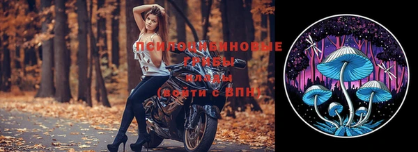 ешки Гусев