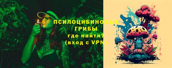 дживик Гусь-Хрустальный