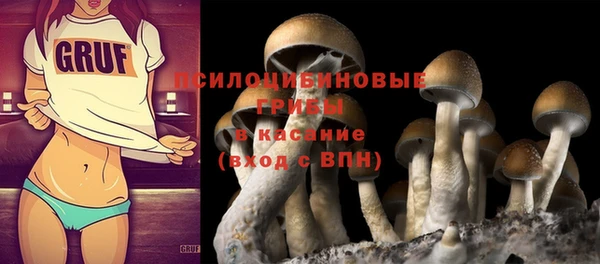 соль ск Гусиноозёрск