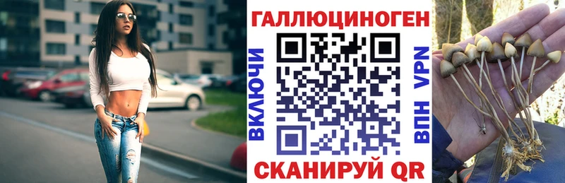 Галлюциногенные грибы Psilocybe Купить где Разумное